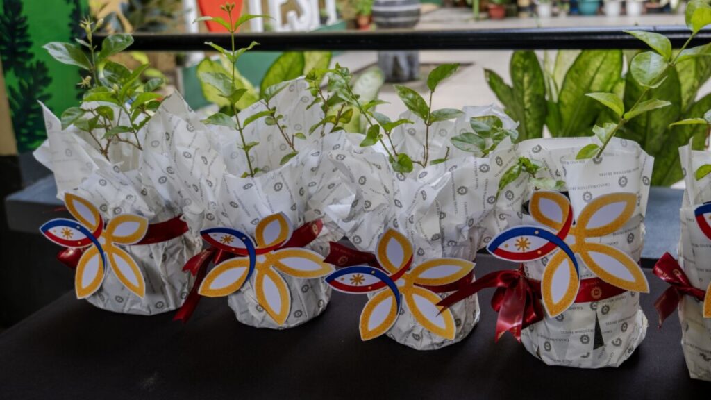 Sampaguita plants wrapped in decorative packaging with flower-shaped ribbons